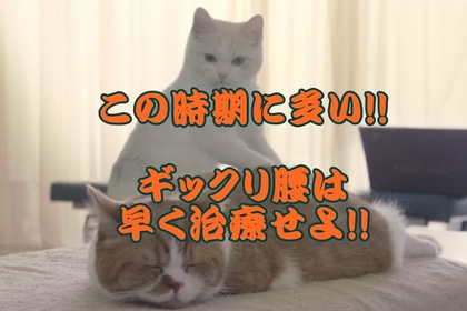 ぎっくり腰　腰痛　腰の悩み