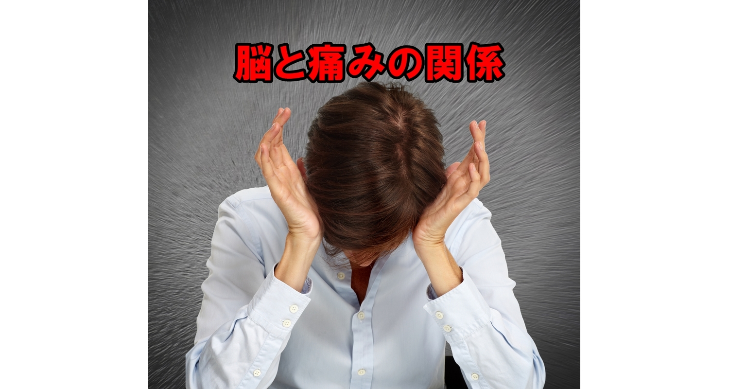 横浜市中区元町の整体/整骨院から痛みと脳の関係を紐解く