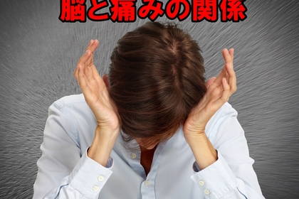 横浜市中区元町の整体/整骨院から痛みと脳の関係を紐解く
