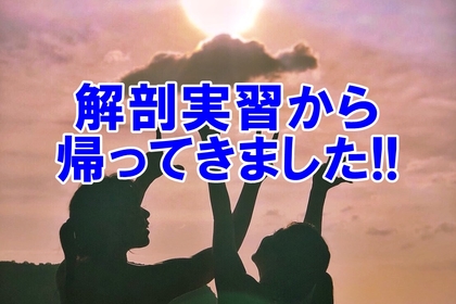 横浜　中区　整体　腰痛　解剖学