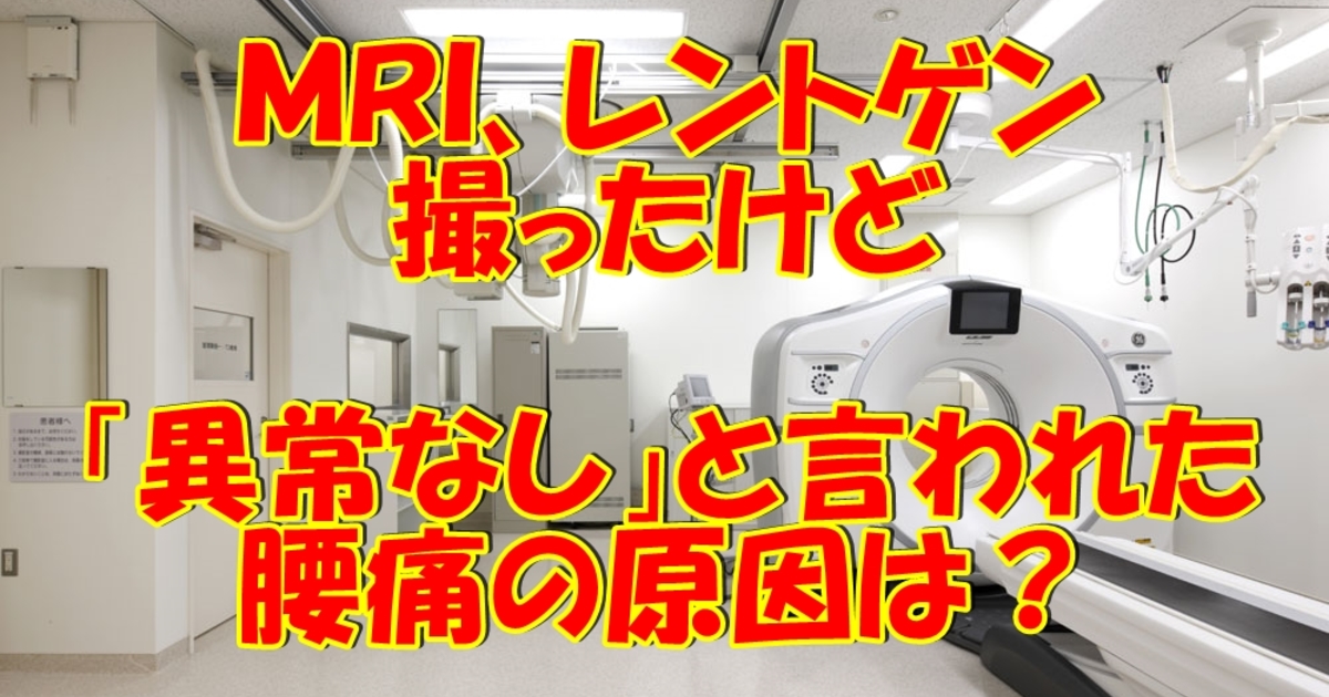 ｍｒｉで異常ないのになぜ腰痛に 原因は 横浜 中区 整体 お悩み解決ブログ 雑誌にも多数掲載 横浜中区にある整体院の健康情報ブログ