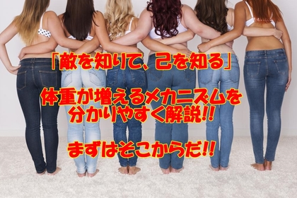 横浜市中区元町にある整体/整骨院壱番館が体重増加のメカニズムを説明