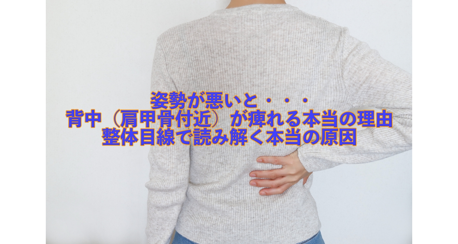 横浜市中区元町にある整体/整骨院壱番館が背中の痺れと痛みについて解説