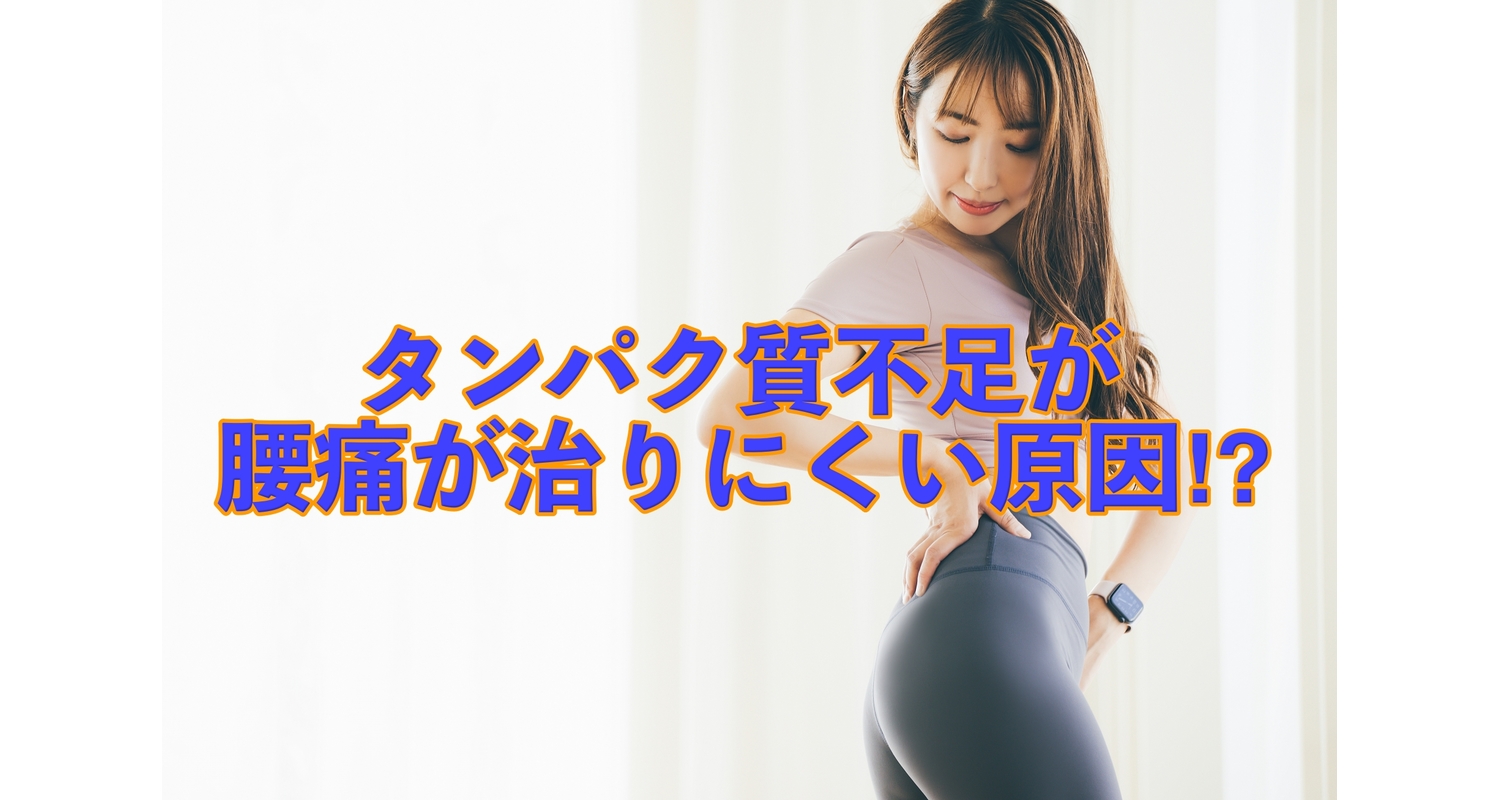 横浜市中区元町にある整体/整骨院壱番館が腰痛とタンパク質の関係性ついて解説