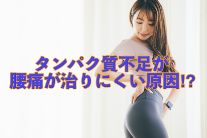 横浜市中区元町にある整体/整骨院壱番館が腰痛とタンパク質の関係性ついて解説