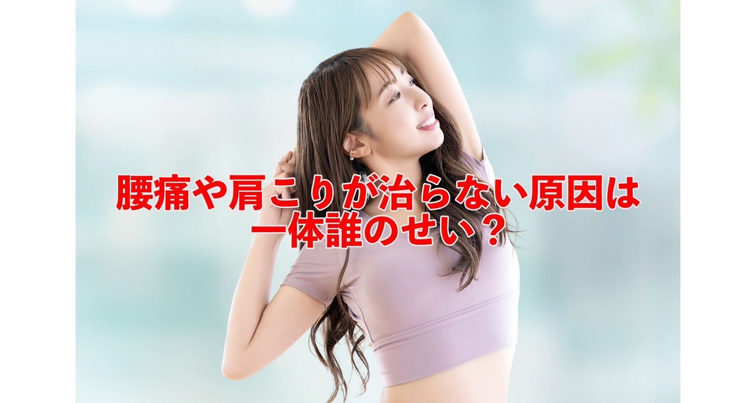 横浜市中区元町にある整体/整骨院壱番館がカタボリックとアナボリックを腰痛と絡めて解説