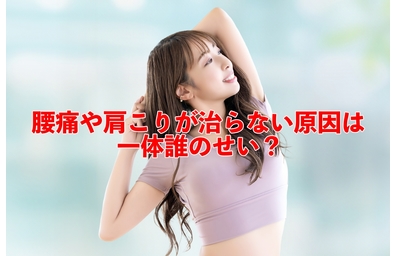 横浜市中区元町にある整体/整骨院壱番館がカタボリックとアナボリックを腰痛と絡めて解説