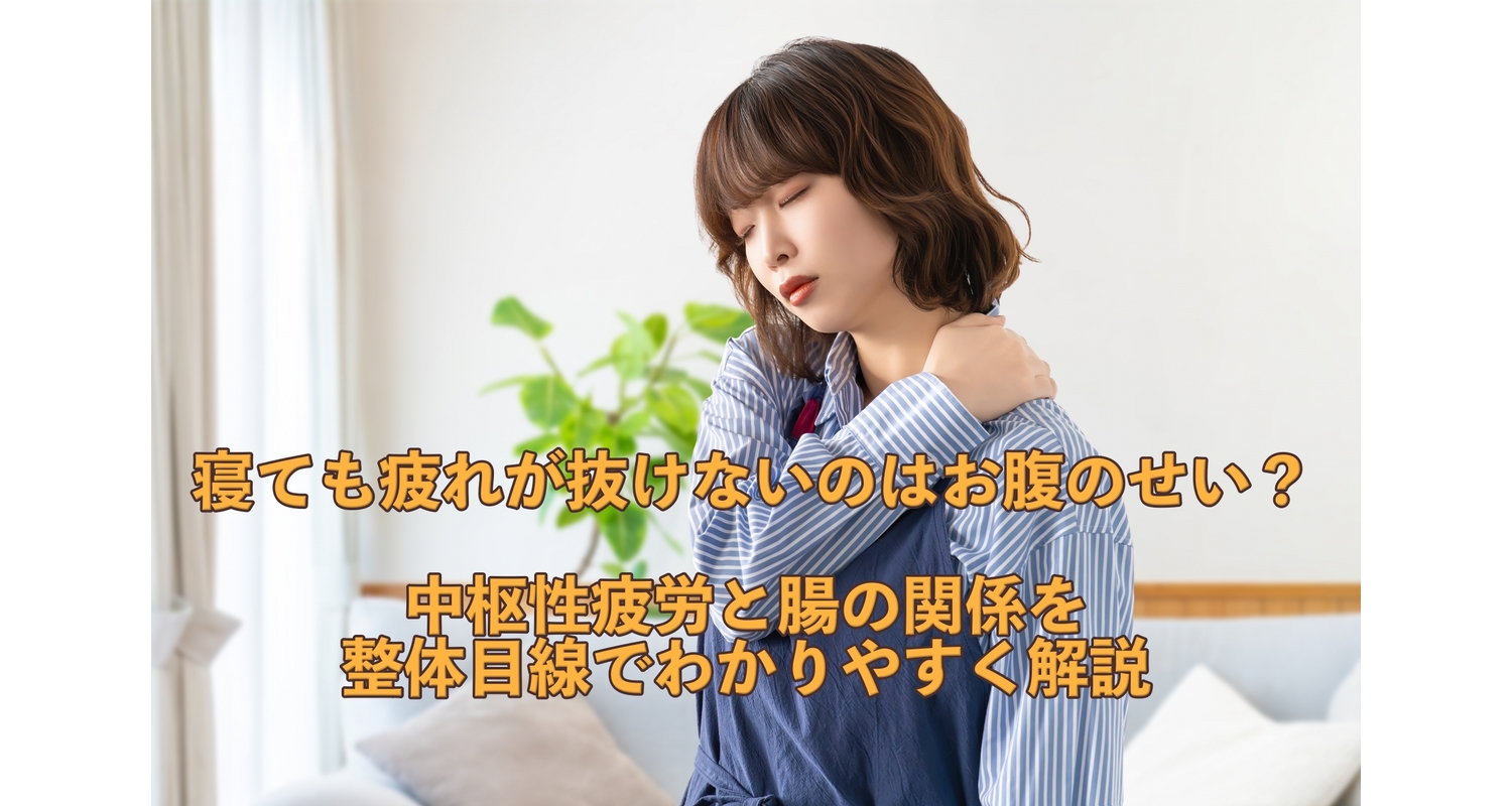 横浜市中区元町にある整体/整骨院壱番館が疲れと腸の関係を解説