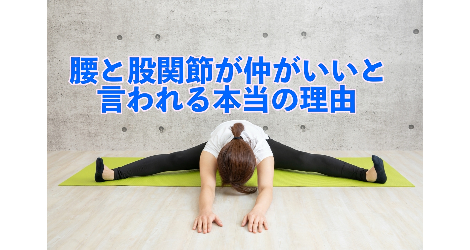 横浜市中区元町にある整体/整骨院壱番館が股関節と腰痛の関係性を解説