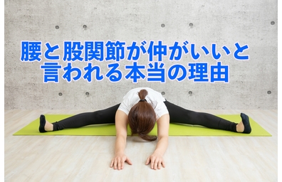 横浜市中区元町にある整体/整骨院壱番館が股関節と腰痛の関係性を解説