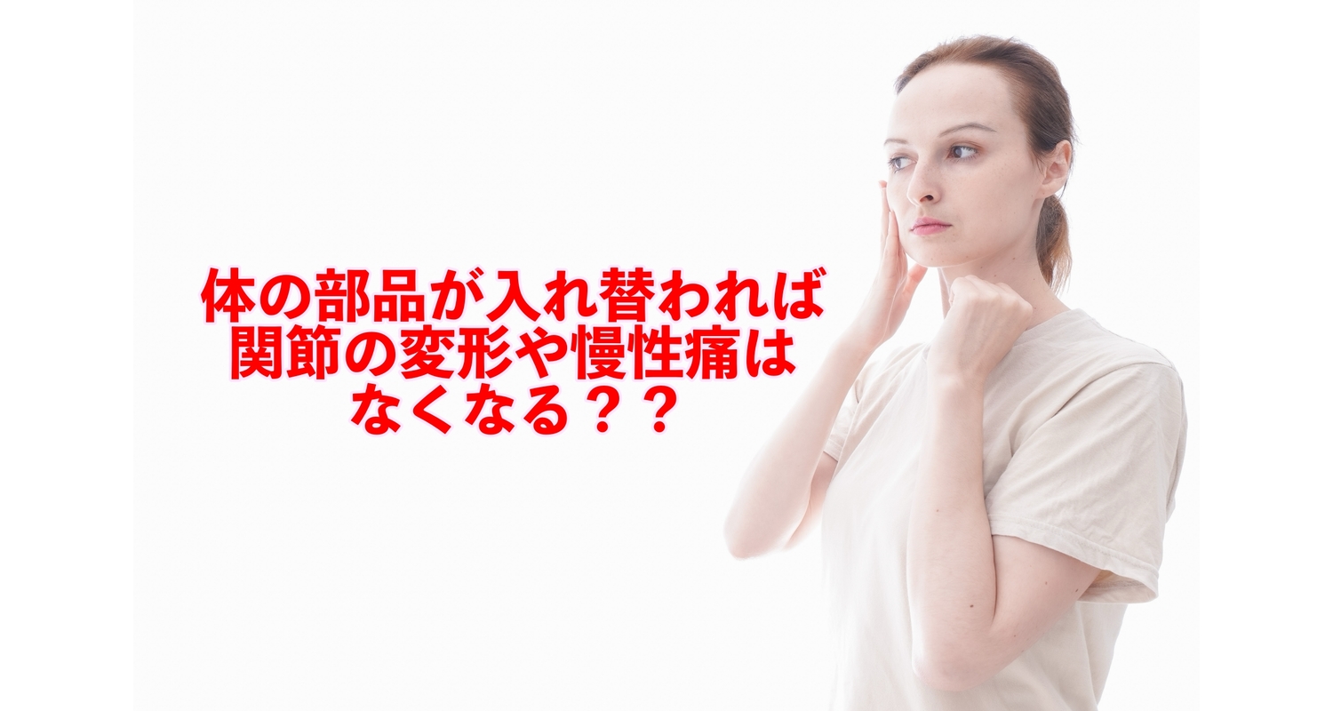 横浜市中区元町にある整体/整骨院壱番館が体の生まれ変わりと慢性腰痛などに対して解説