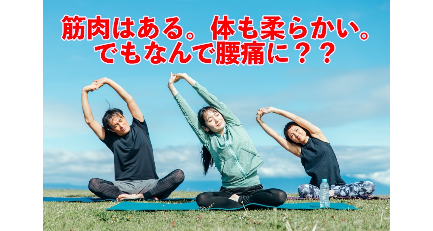 横浜市中区元町にある整体/整骨院壱番館が腰痛、肩こりとモーターコントロールの関係性について解説