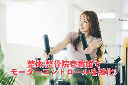 横浜市中区元町にある整体/整骨院壱番館がモーターコントロールと腰痛の関係性とその強化方法について解説