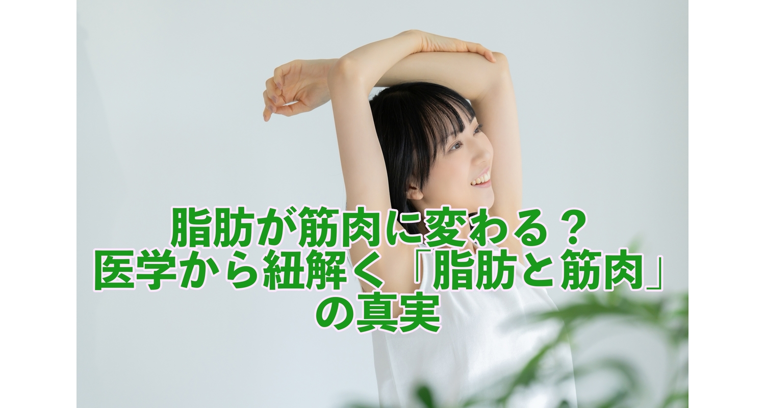 横浜市中区元町にある整体/整骨院壱番館が脂肪が筋肉に置き換わるかどうかを解説